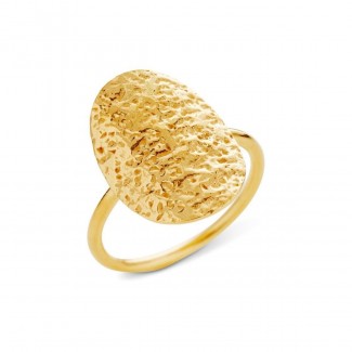SusanneFriisBjrnerForgyldtSlvRingmedROveflade16922-20